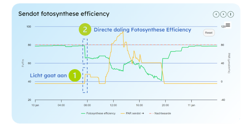 Data uit de Kas: Fotosynthese Efficiëntie – Deel 1