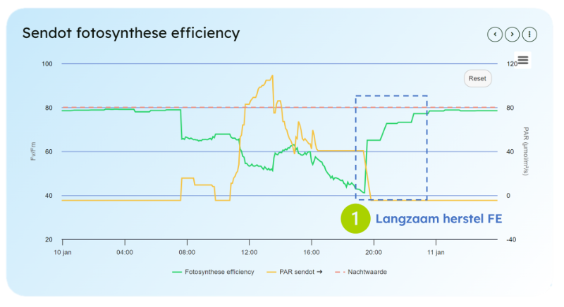 Data uit de Kas: Fotosynthese Efficiëntie – Deel 2