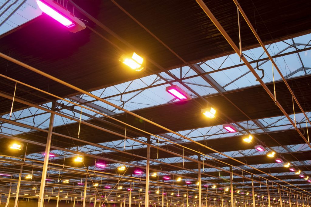 Verheldering op LED subsidie in de glastuinbouw