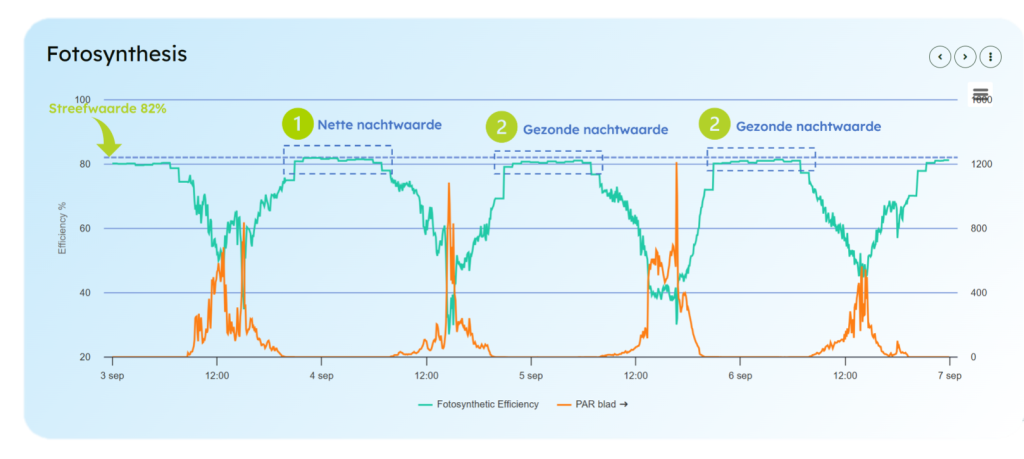 Data uit de Kas: Fotosynthese Efficiëntie (Lichtafwijking) – Deel 3