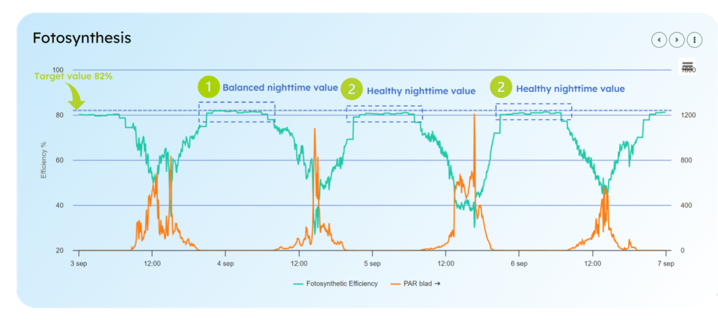 Data from the Greenhouse: Photosynthetic Efficiency (Light Deviation) – Part 3