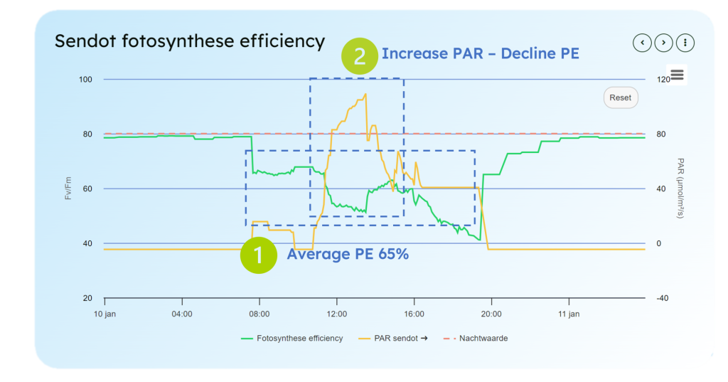 Data from the Greenhouse: Photosynthetic Efficiency – Part 1