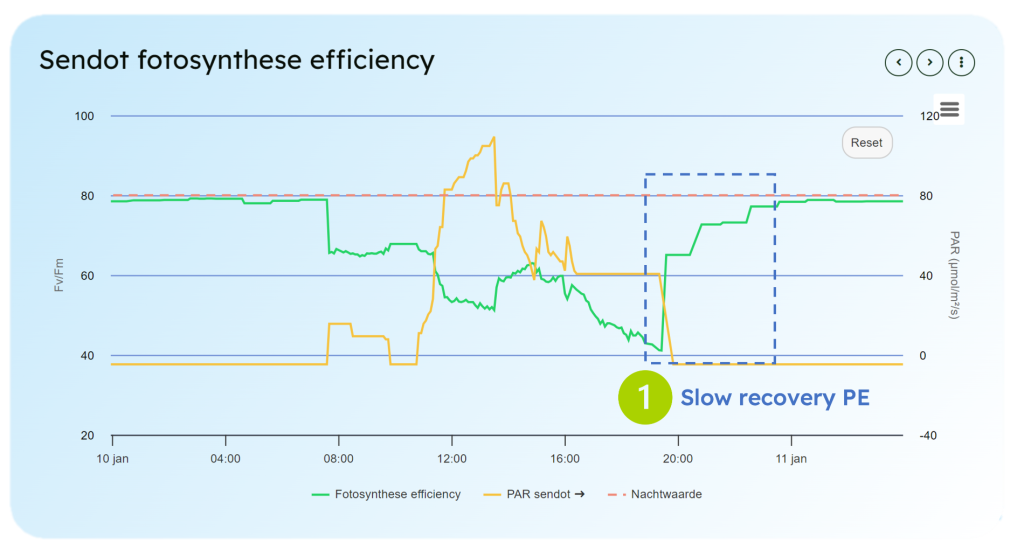 Data from the Greenhouse: Photosynthetic Efficiency – Part 2