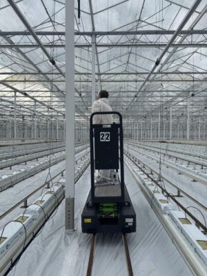 Jordi van der Meijden