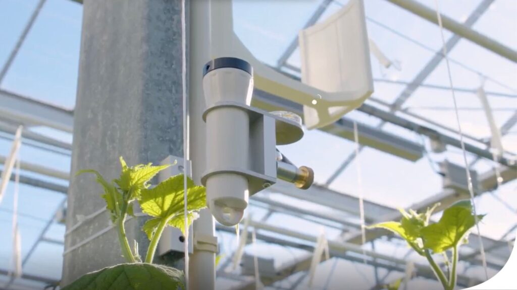Nieuwe sensor biedt realtime inzicht in volledig lichtspectrum