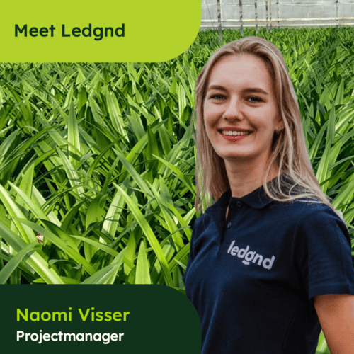 Meet Naomi Visser