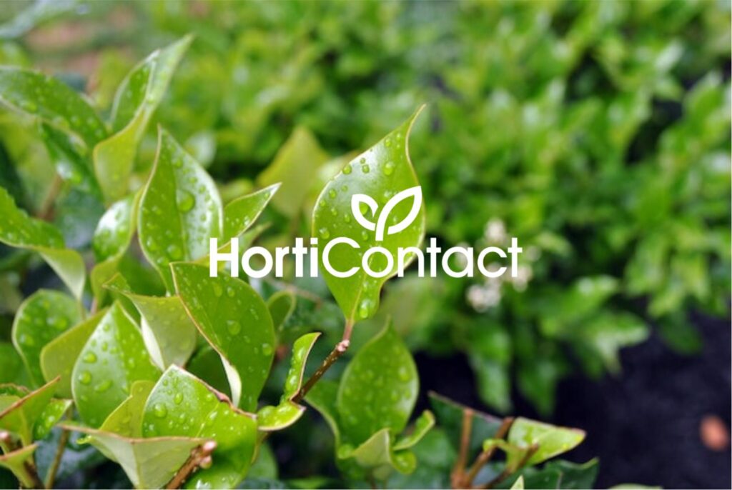 HortiContact 2025