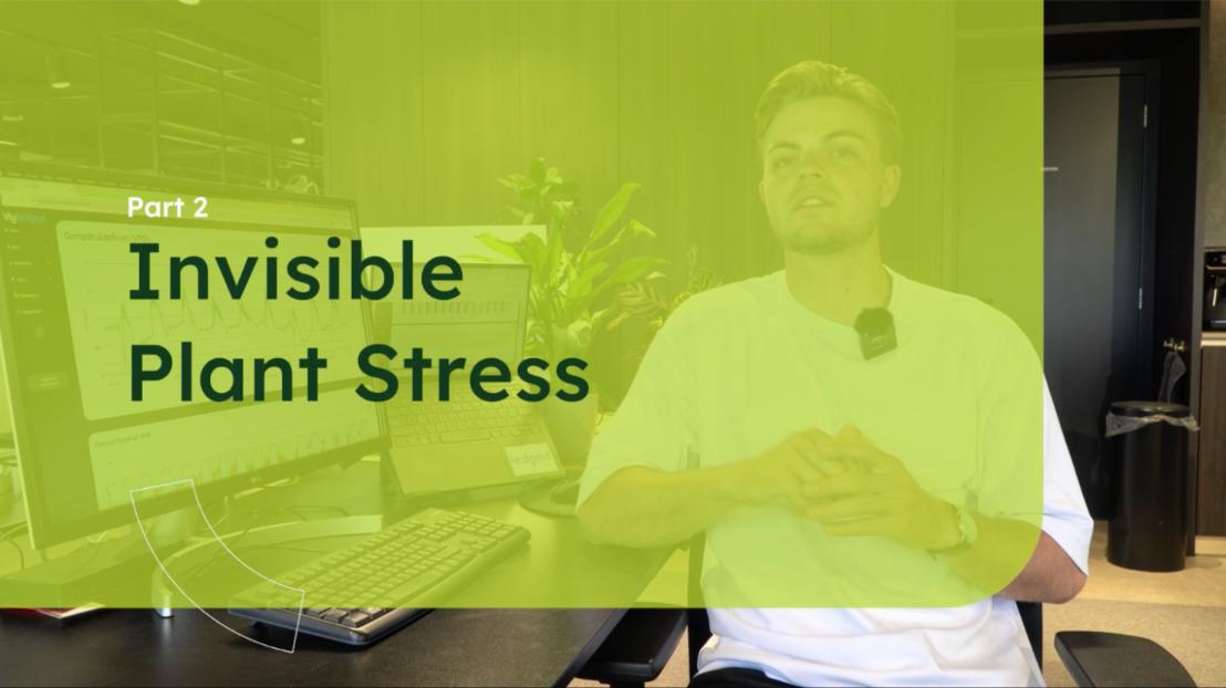 The Ledgnd of.. Seizoen 2 Onzichtbare plantstress Part II