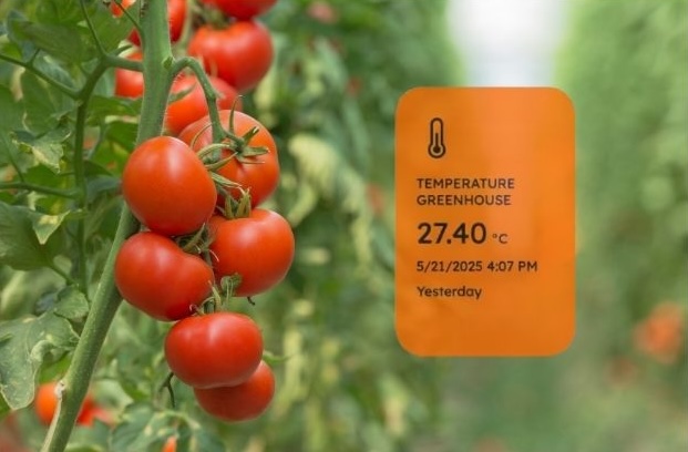 Tomaten co2 tempteratuur