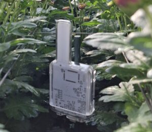 Vivent plantfeedback
