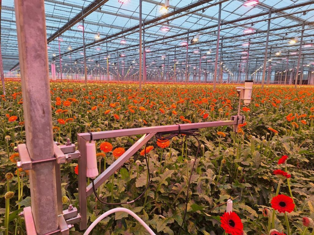 Waarom zijn sensoren de eerste stap naar een efficiëntere teelt?